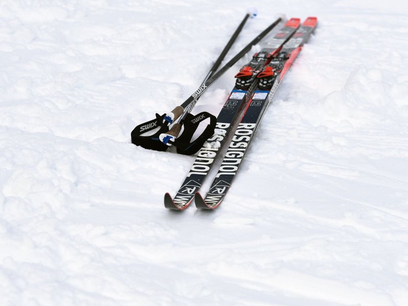 Чем отличаются профессиональные лыжи